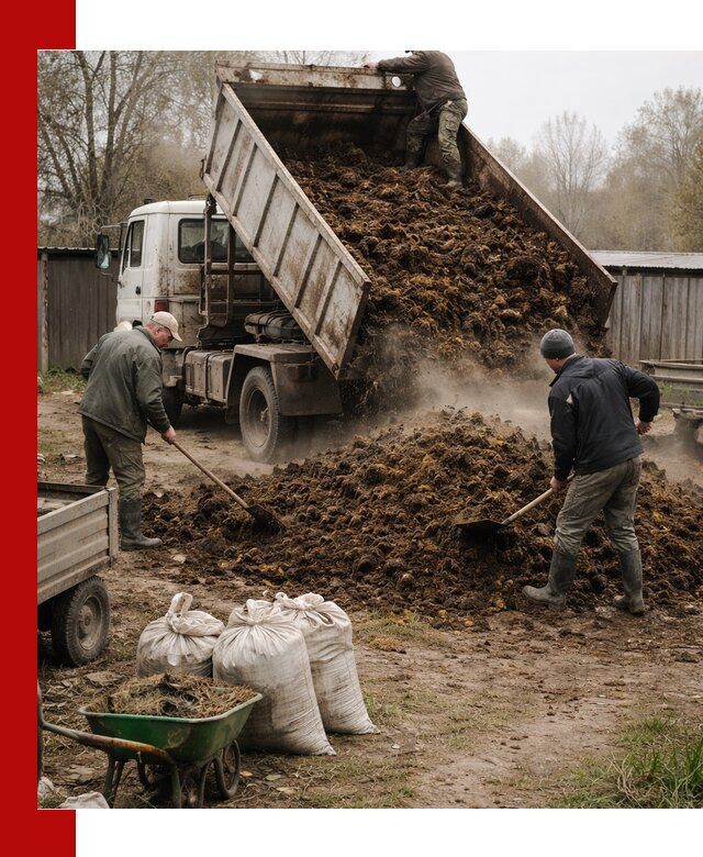 Доставка коровьего навоза самосвалом в Урае